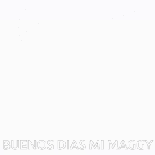 Buenosdiasmaggy GIF - Buenosdiasmaggy GIFs