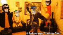 solanaapetradingclub satc mn3 solanaapetradingclub satc mn3