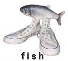 a pair of white shoes with a fish on top of them