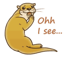 otter ohh i see