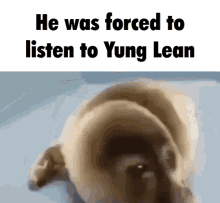 He Was Forced To Listen To Yung Lean GIF