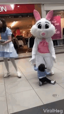 Rabbit Mascot Rabbit Costume GIF