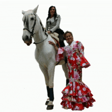 amigos del caballo burgos casa regional andaluc%C3%ADa burgos kuky garc%C3%ADa burgos