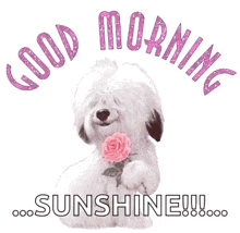 Goodmorning Glitter GIF - Goodmorning Glitter Dog GIFs