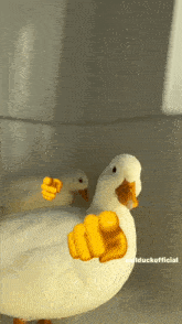 Ducks Ducks Are Laughing GIF - Ducks Ducks Are Laughing Laughter GIFs