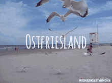 Moin Ostfriesland GIF - Moin Ostfriesland Moinsen GIFs