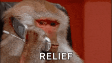 a monkey is talking on a cell phone and the word relief is on the bottom