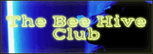 Bee Hive GIF - Bee Hive GIFs