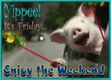 Friday Feeling Enjoy The Weekend GIF - Friday Feeling Friday Enjoy The Weekend GIFs