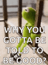 kermit the frog is leaning against a railing and asking why you gotta be told to be good .