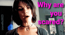 Why Are You Scared Kathryn Erbe GIF - Why Are You Scared Kathryn Erbe Why Scared GIFs