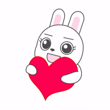 white rabbit excited heart in love