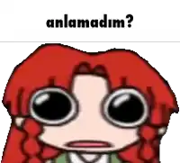 a cartoon character with red hair and big eyes is asking " anlamadım "