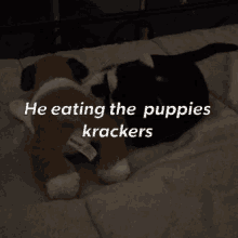 Puppies Eat GIF - Puppies Eat Krackers GIFs