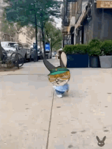Mail Delivery GIF - Mail Delivery Mrrc GIFs