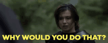 Willow Kit Tanthalos GIF - Willow Kit Tanthalos Why Would You Do That GIFs
