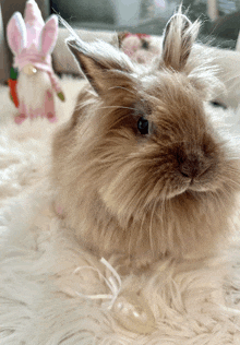 Happy Easter Rabbit GIF