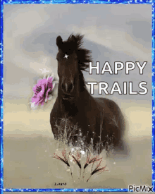 Horses Flowers GIF - Horses Flowers Greetings GIFs