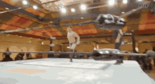 Tony Deppen Wrestling GIF - Tony Deppen Wrestling Claymore_gifs GIFs