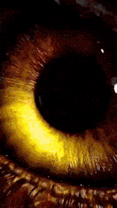 a close up of a person 's eye with a glowing yellow pupil