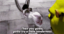 donkey shrek tenderness