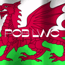 Wales Pob Lwc GIF - Wales Pob Lwc Eisteddfod GIFs