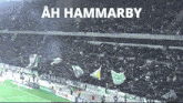 Hammarby Pyro GIF - Hammarby Pyro Ultras GIFs