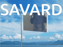 Savard Holden Flag GIF - Savard Holden Flag GIFs