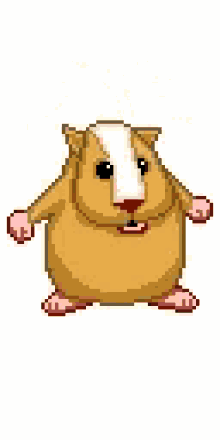 Hamster Guineapig GIF - Hamster Guineapig Jump GIFs