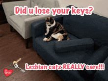 a cat sitting on a couch with the words did u lose your keys below it