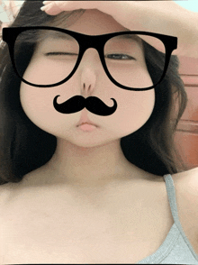a woman with glasses and a fake mustache on her face