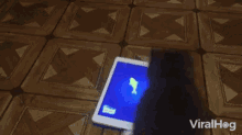 Video Games Tablet GIF - Video Games Tablet Cat GIFs