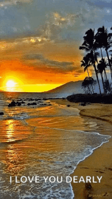 Beach Ocean GIF - Beach Ocean Sunset GIFs