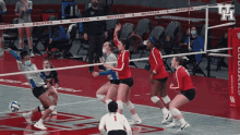 houston cougars coogs go coogs volleyball