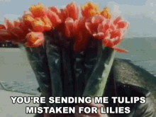 Youre Sending Me Tulips Mistaken For Lilies New Amsterdam GIF - Youre Sending Me Tulips Mistaken For Lilies Lilies Tulips GIFs