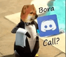 Boracall GIF