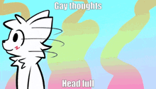 a picture of a cat with the words gay thoughts head full