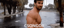 Csongor Csongi GIF - Csongor Csongi Muscle GIFs