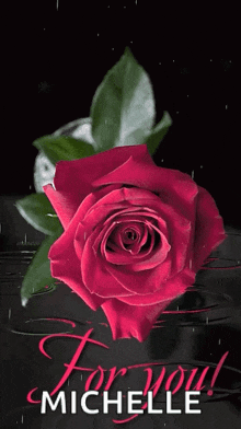 Rose Red GIF