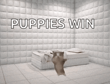 a cat is standing in a room with the words puppies win written on the wall .