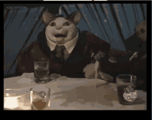 a cat in a suit sits at a table with a comedy central glass in front of him