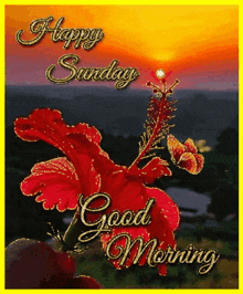 a happy sunday good morning card with a red flower and a butterfly .