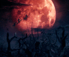 witches flying in front of a full moon in a dark forest