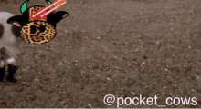 Pocket Cows The Don64209 GIF
