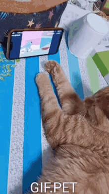 Gif Pet Cat GIF - Gif Pet Cat Watching Phone GIFs