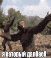 я каторьій GIF