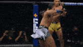 two men are fighting in a boxing ring with a honda advertisement in the background