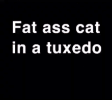 fat ass fat ass cat