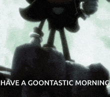 a picture of shadow the hedgehog with the words have a goontastic morning