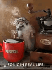 Coffee Hedgehog GIF - Coffee Hedgehog GIFs